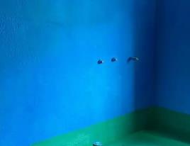 明光卫生间测漏水多少钱